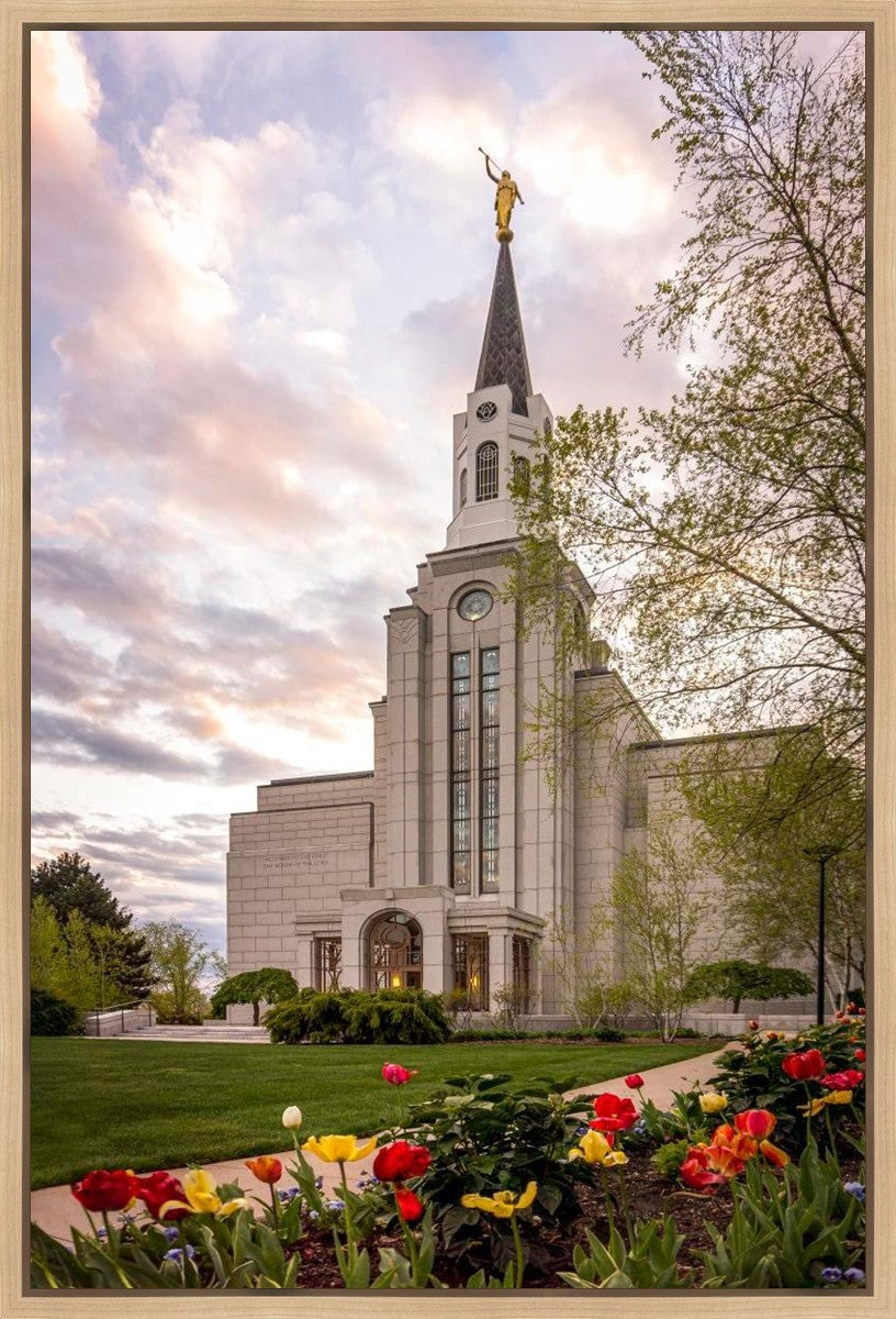 Boston Temple Spring Tulips Gallery Wrap