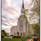 Boston Temple Spring Tulips