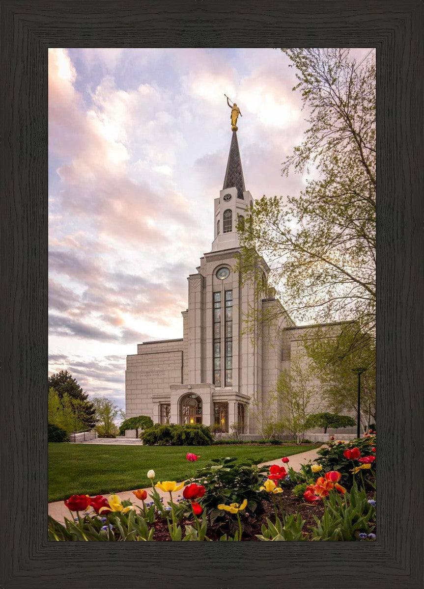 Boston Temple Spring Tulips