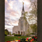 Boston Temple Spring Tulips
