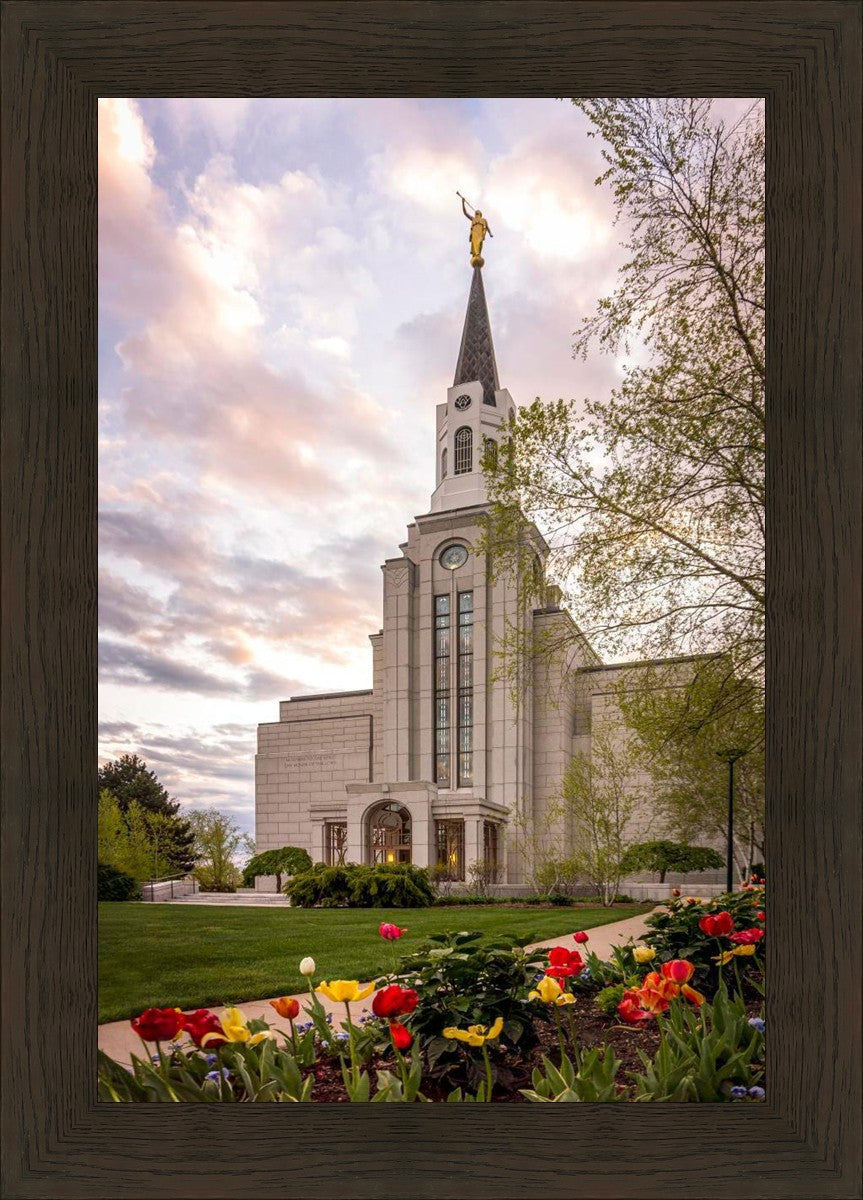 Boston Temple Spring Tulips