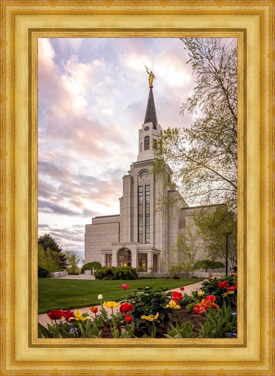 Boston Temple Spring Tulips
