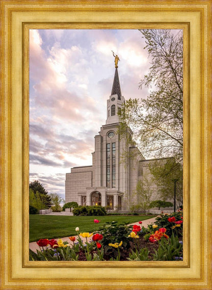Boston Temple Spring Tulips