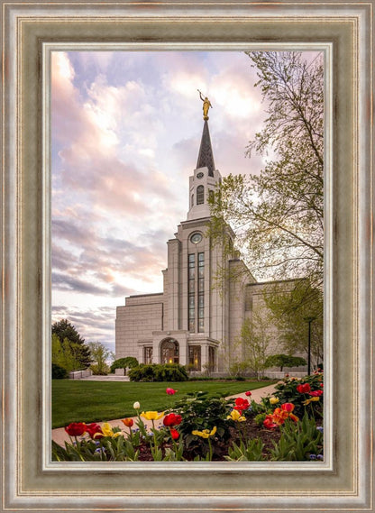 Boston Temple Spring Tulips