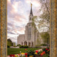 Boston Temple Spring Tulips