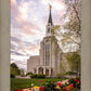 Boston Temple Spring Tulips