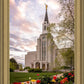 Boston Temple Spring Tulips