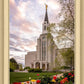 Boston Temple Spring Tulips