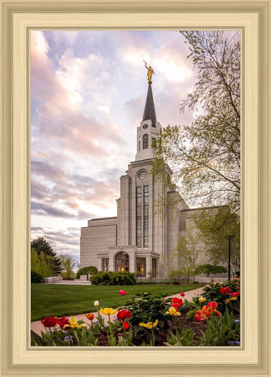Boston Temple Spring Tulips