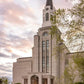 Boston Temple Spring Tulips
