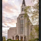 Boston Temple Spring Tulips