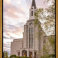 Boston Temple Spring Tulips