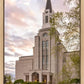 Boston Temple Spring Tulips