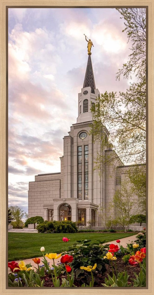 Boston Temple Spring Tulips Gallery Wrap