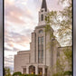 Boston Temple Spring Tulips