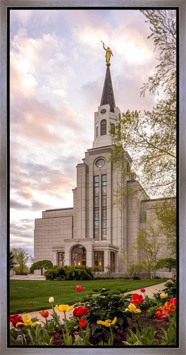 Boston Temple Spring Tulips Gallery Wrap