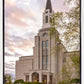 Boston Temple Spring Tulips