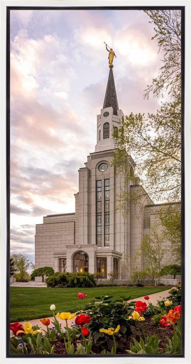 Boston Temple Spring Tulips Gallery Wrap