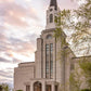 Boston Temple Spring Tulips