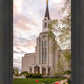 Boston Temple Spring Tulips