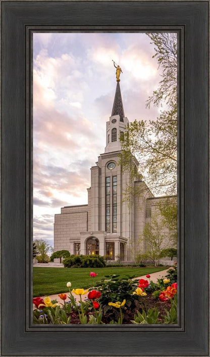 Boston Temple Spring Tulips