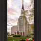 Boston Temple Spring Tulips