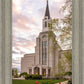 Boston Temple Spring Tulips