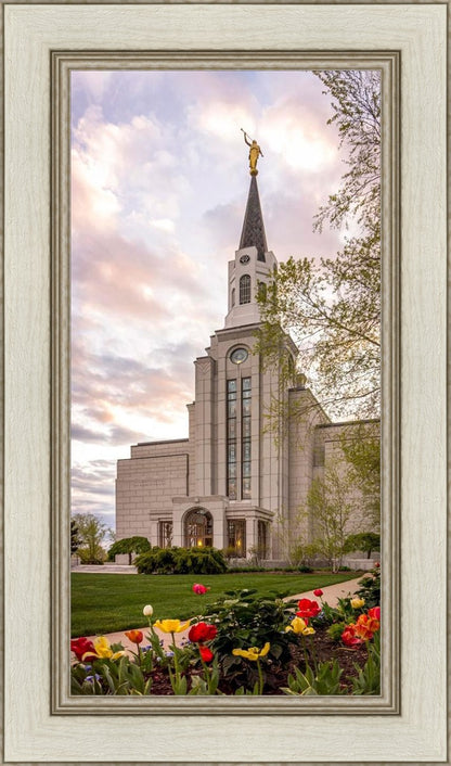 Boston Temple Spring Tulips