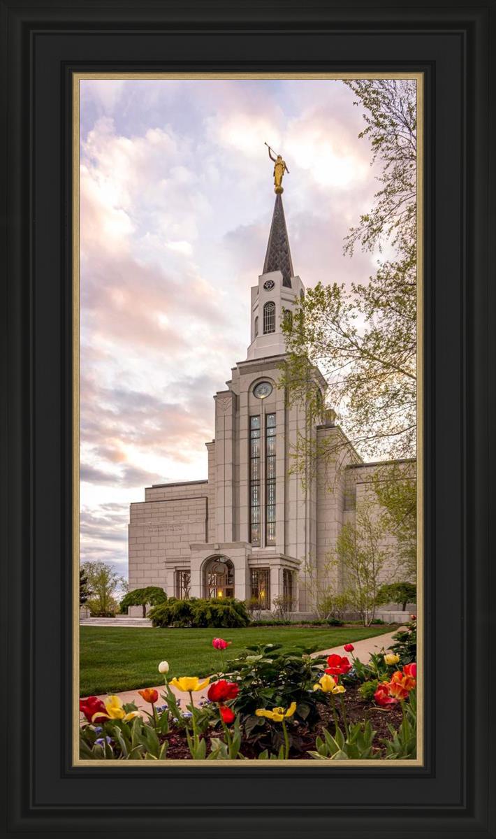 Boston Temple Spring Tulips