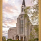 Boston Temple Spring Tulips