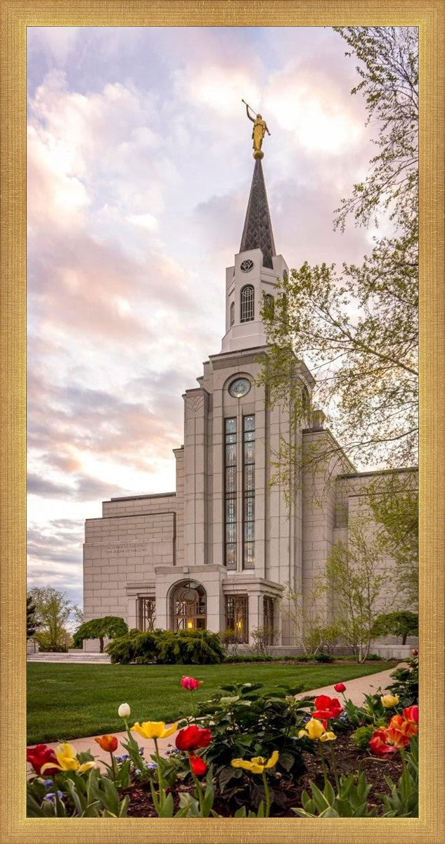 Boston Temple Spring Tulips