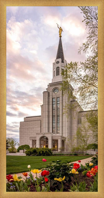 Boston Temple Spring Tulips