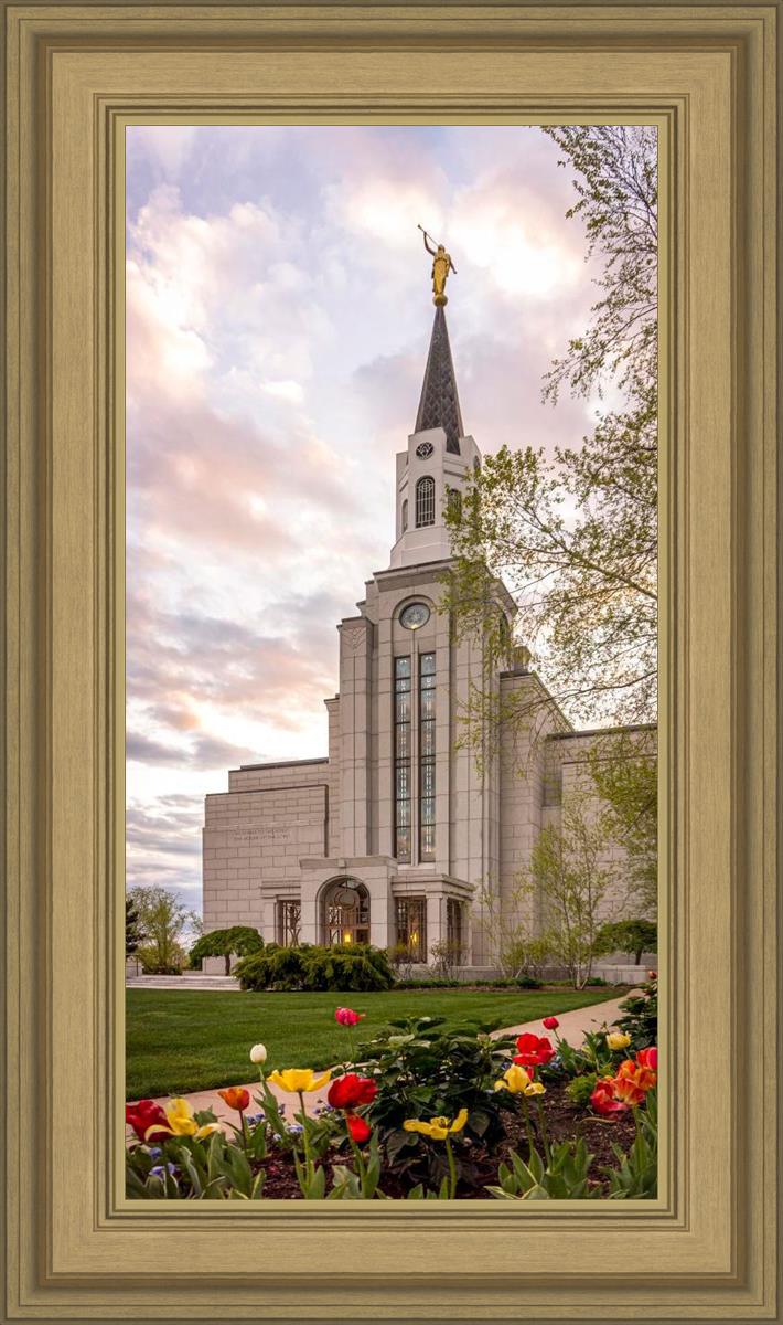 Boston Temple Spring Tulips