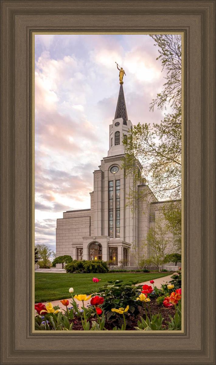 Boston Temple Spring Tulips