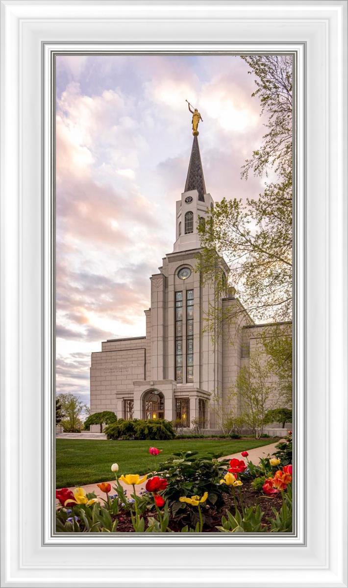 Boston Temple Spring Tulips