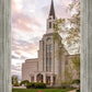 Boston Temple Spring Tulips