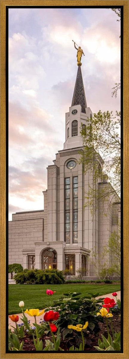 Boston Temple Spring Tulips Gallery Wrap