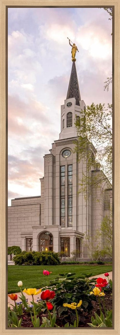 Boston Temple Spring Tulips