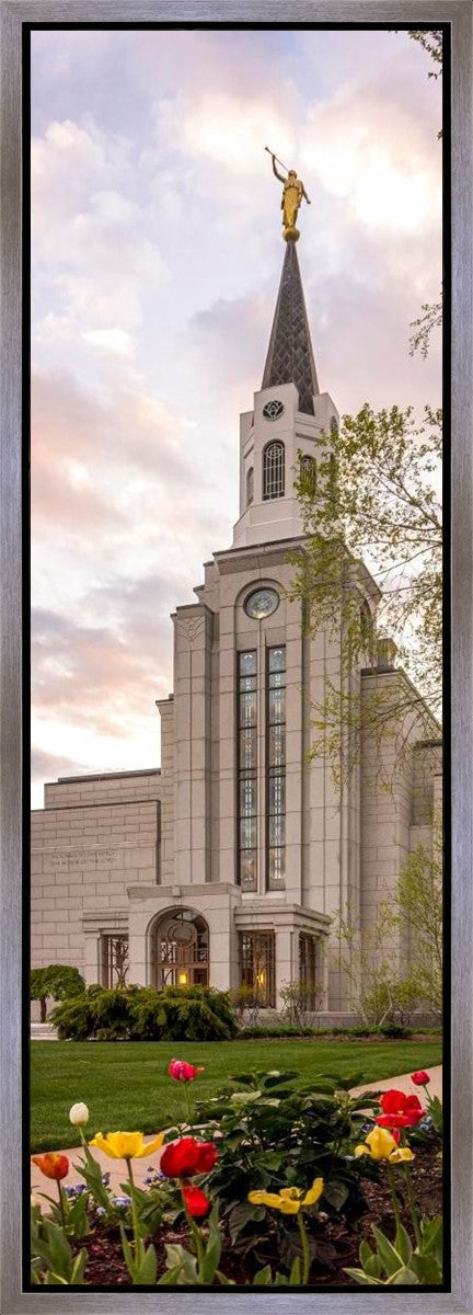 Boston Temple Spring Tulips Gallery Wrap
