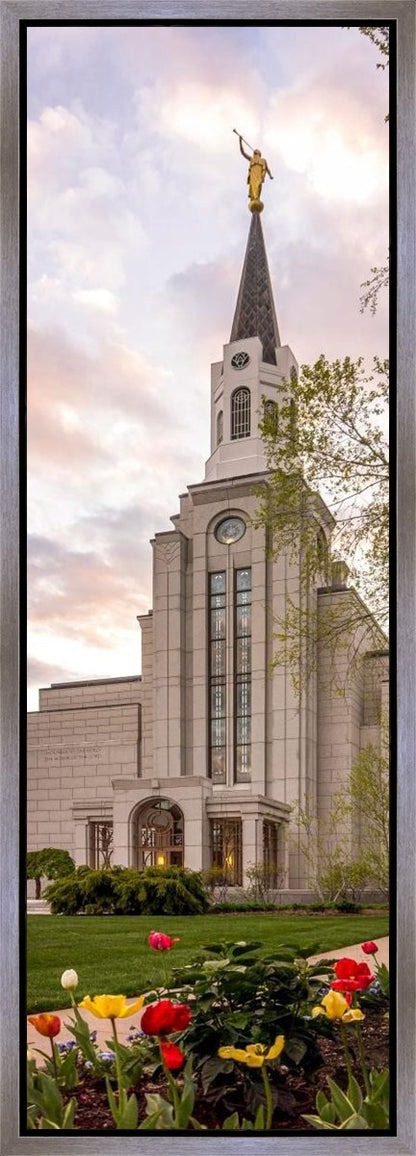 Boston Temple Spring Tulips
