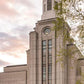 Boston Temple Spring Tulips
