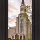 Boston Temple Spring Tulips