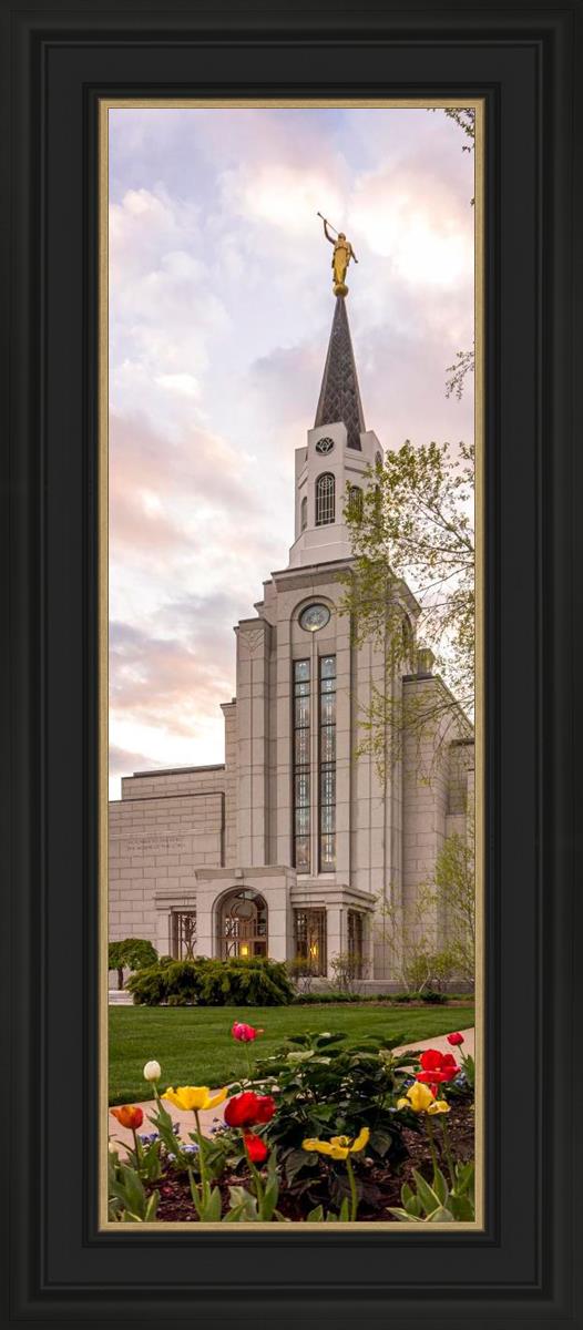 Boston Temple Spring Tulips