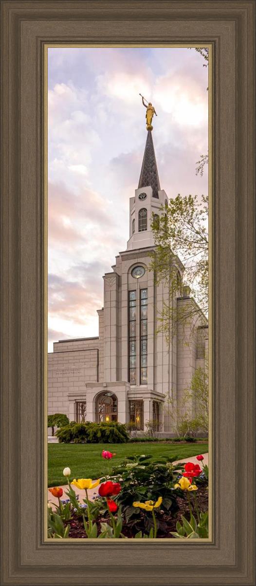 Boston Temple Spring Tulips