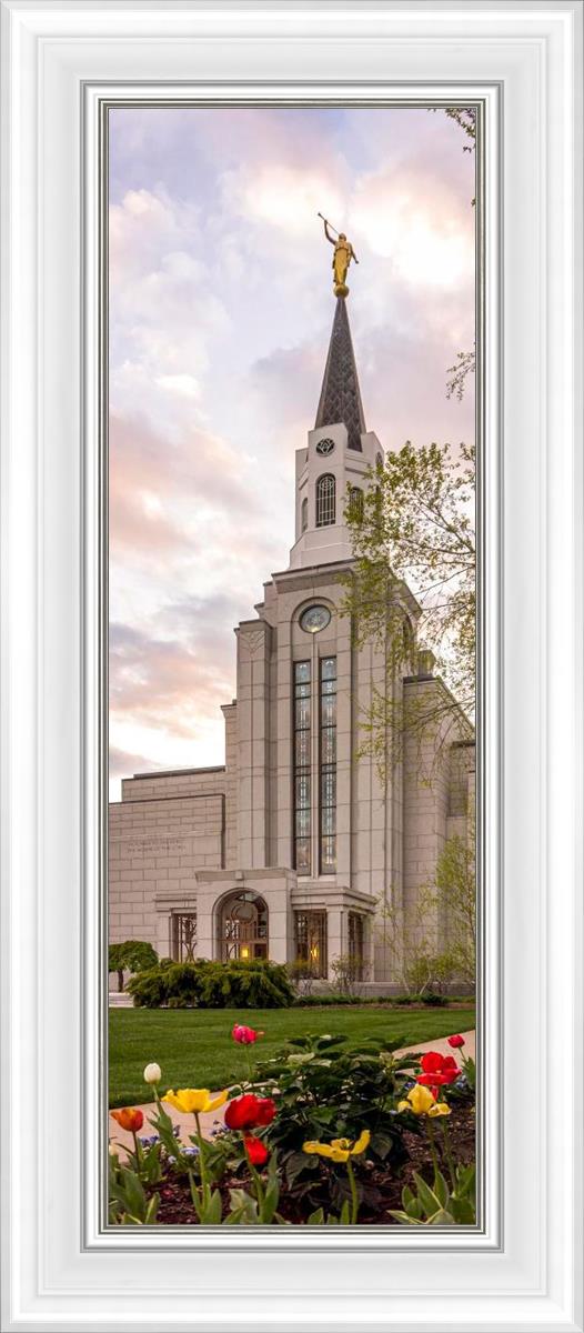 Boston Temple Spring Tulips