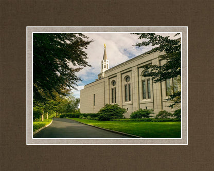 Boston Temple Trees Of Life Panoramic