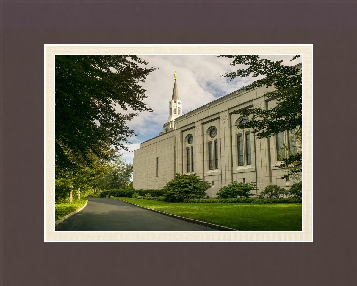 Boston Temple Trees Of Life Panoramic