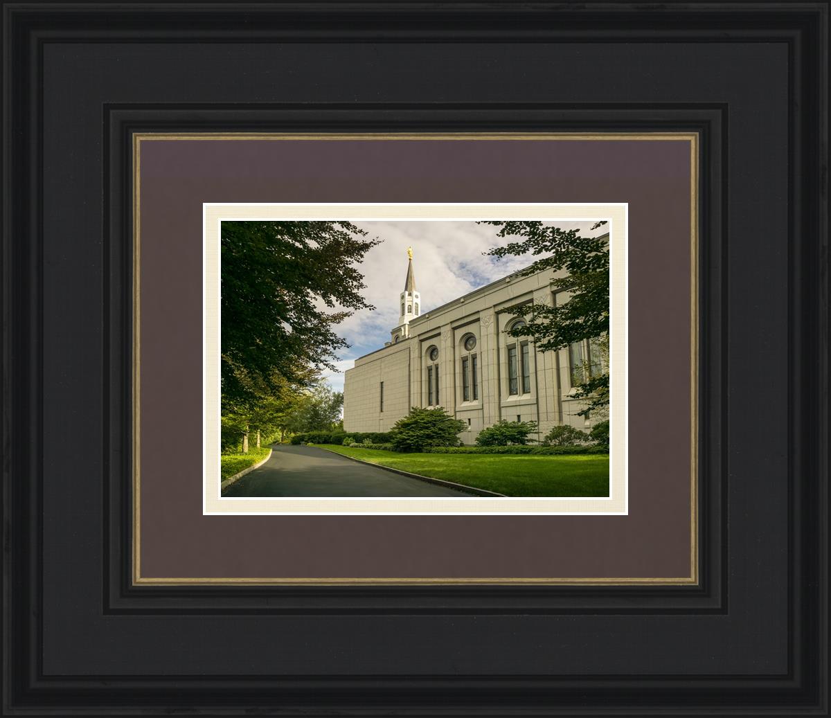 Boston Temple Trees Of Life Panoramic