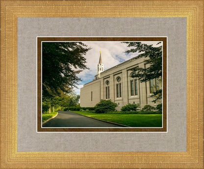 Boston Temple Trees Of Life Panoramic