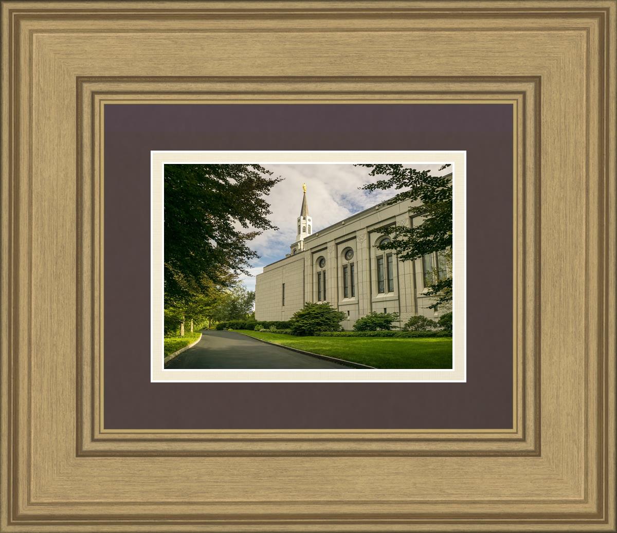 Boston Temple Trees Of Life Panoramic